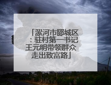 漯河市郾城区：驻村第一书记王元明带领群众走出致富路